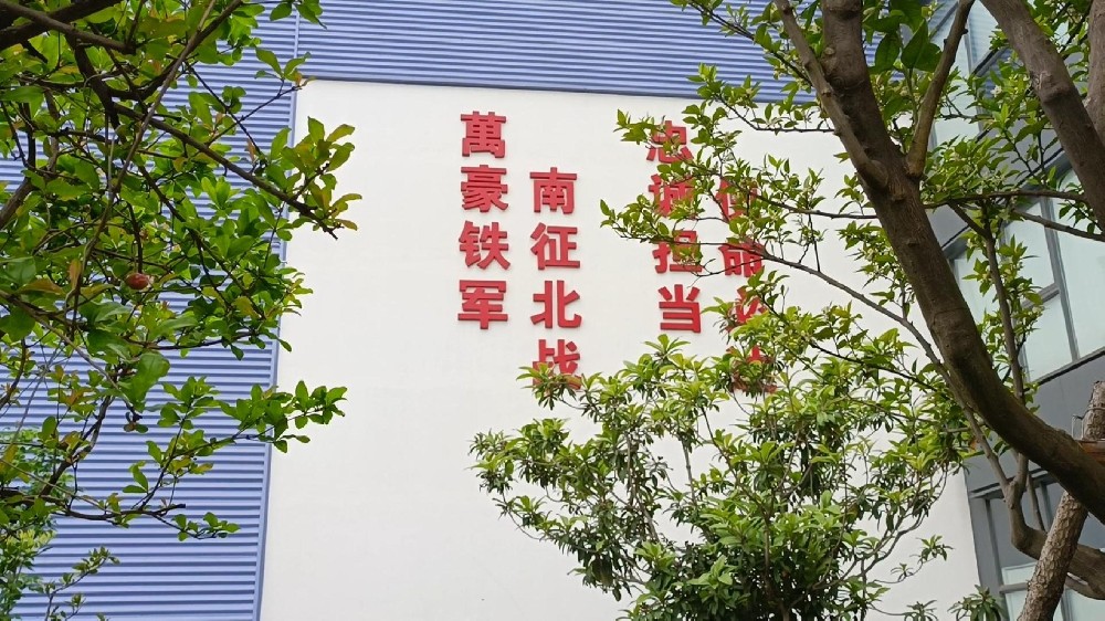 初夏的風讓職場時光變得甜蜜